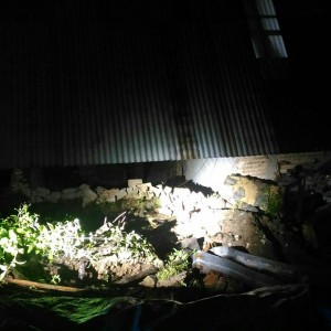 jenawi4